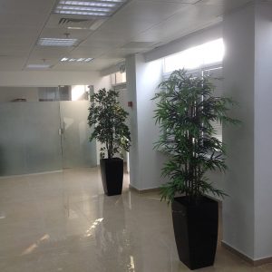 צמחייה מלאכותית למשרד