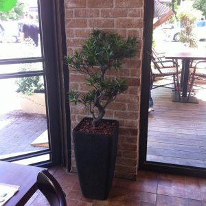 עץ מלאכותי למסעדה