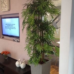 עץ מלאכותי במשרד