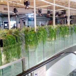 אדנית עם צמחים נשפכים - גדר חיה מלאכותית