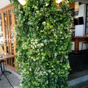 קיר ירוק במסעדה