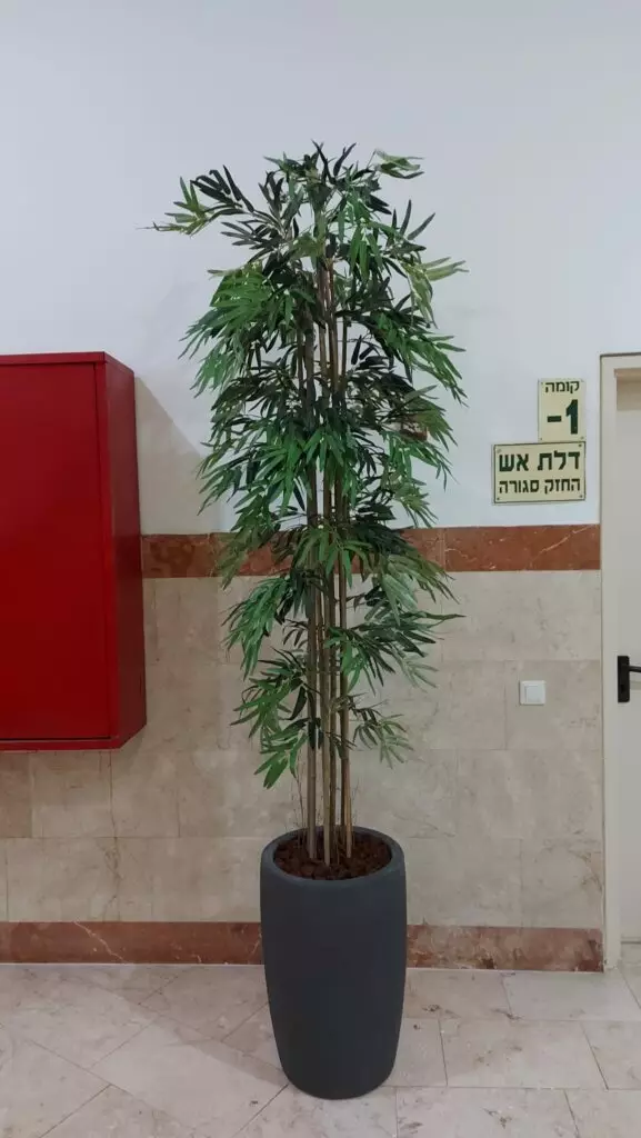 במבוק 213 ס״מ